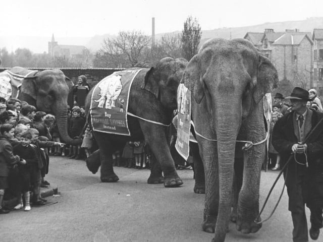 Another picture of the Bertam Mills Circus arriving in town, 1950.