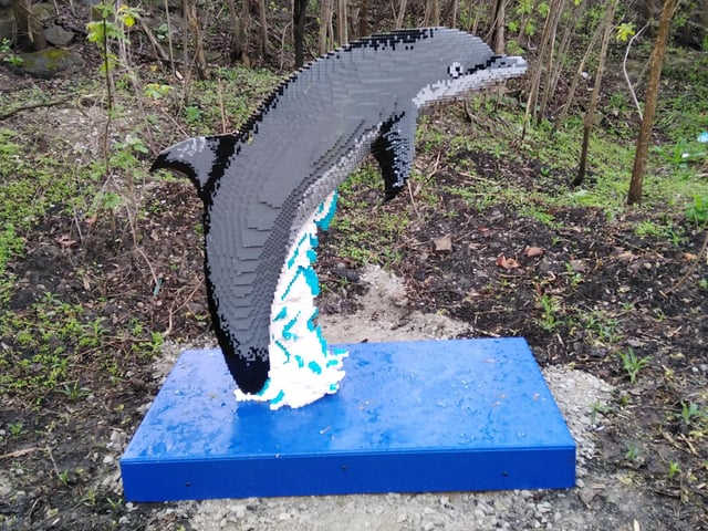 This unusual event is open until September 24 this year.