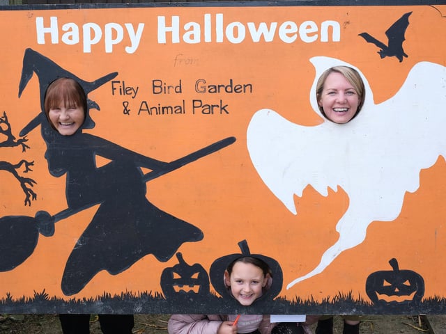 Halloween family fun