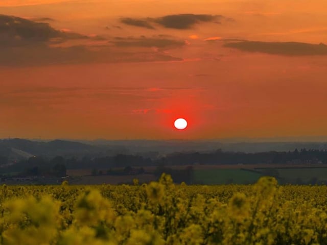 Wonderful colours and atmosphere at Portsdown Hill. Instagram: @champ4334