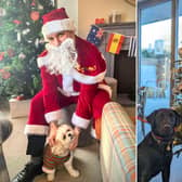 The Bike & Boot hotel in Scarborough is hosting its annual Christmas event for dog for the third year!
