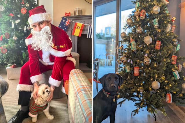 The Bike & Boot hotel in Scarborough is hosting its annual Christmas event for dog for the third year!
