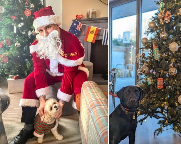 The Bike & Boot hotel in Scarborough is hosting its annual Christmas event for dog for the third year!