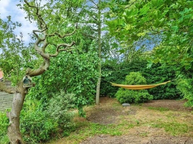 A section of the leafy, lawned garden with the cottage.