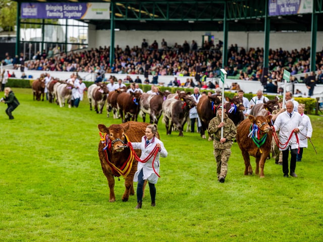 The annual Great Yorkshire Show is set to take place in Harrogate from July 8 until July 11. Although not set on the Yorkshire coast, many people from across the region flock to this event as a Yorkshire calendar highlight.