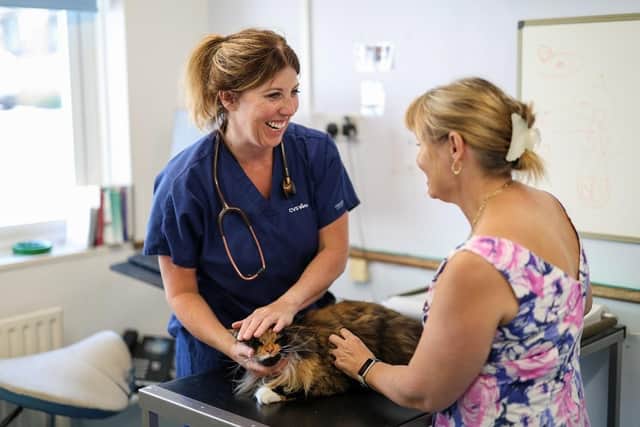 The plan is being launched to remove the question of whether to book a veterinary consultation. Photo: Nico Russell