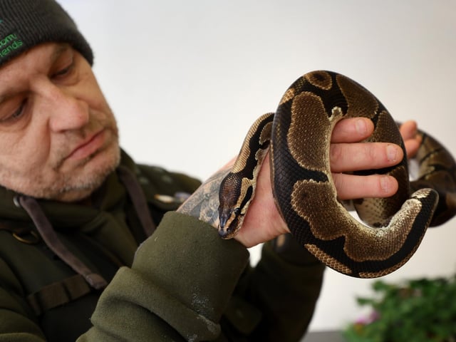 Owner Dave Bigsby with one of the resident