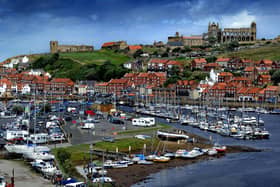 A new maritime hub is proposed for Whitby.