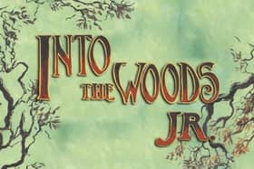 ARCADE’s youth theatre will present Into the Woods Jr on Saturday, November 14 and Wednesday, November 18.