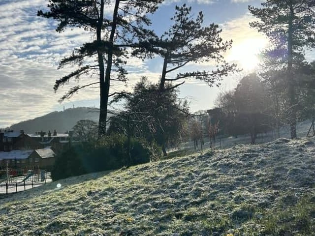 Another shot at Falsgrave Park earlier today.