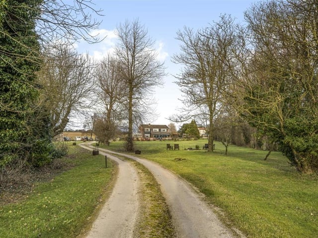 The scenic driveway up to the Cayton property.