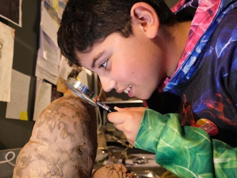 Throughout August there will be special Fossil Handling events with the Rotunda Geology Group, at the Rotunda Museum, Scarborough. Find out about dinosaur footprints and ancient fossils in hands-on sessions with expert geologists. Visitors can drop-in with no need to book. At busy times numbers may be limited for the safety and comfort of visitors. The events will take place on August 8, 15 and 22.