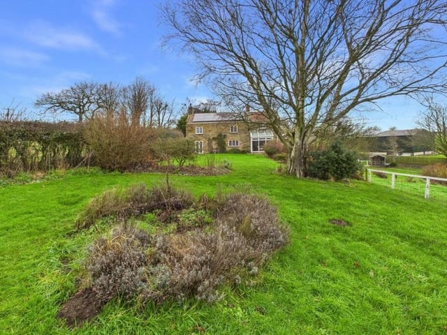 Looking back towards the house from the extensive garden that has established trees and shrubs.