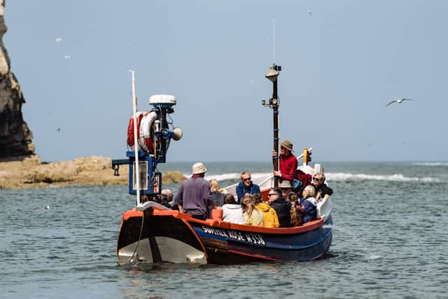 One of the highlights of the festival is boat trips by traditional fishing coble to watch seabirds from a different angle.