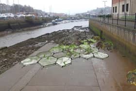Artist’s visualisation of tiles and pools with expected seaweed colonisation.  picture: GNEC