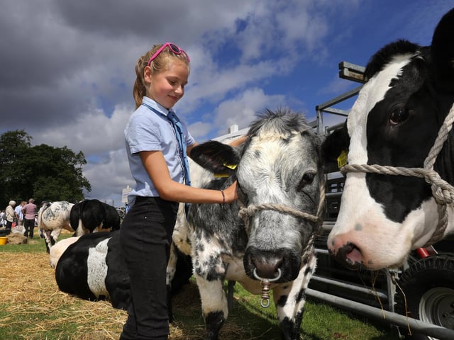 Harriet Townend working during the show
