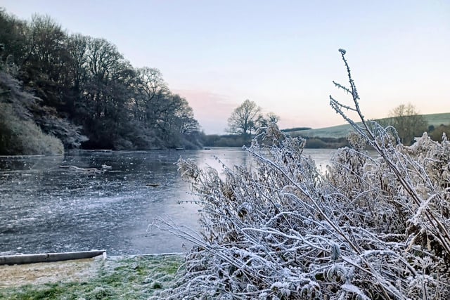 Stunning picture at Throxenby Mere.