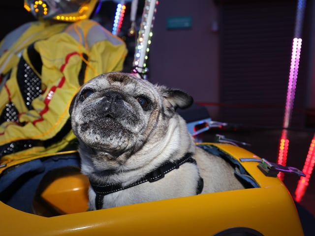 Ready for the ride! photo: Richard Ponter