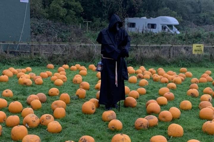 This chilling plague doctor in a field of pumpkins was sent in by Adele Whelan of Scarborough.