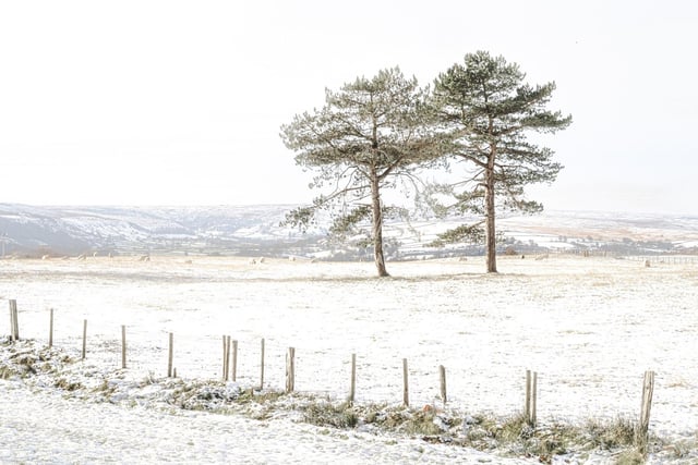 Winter in Egton, by James Hines.