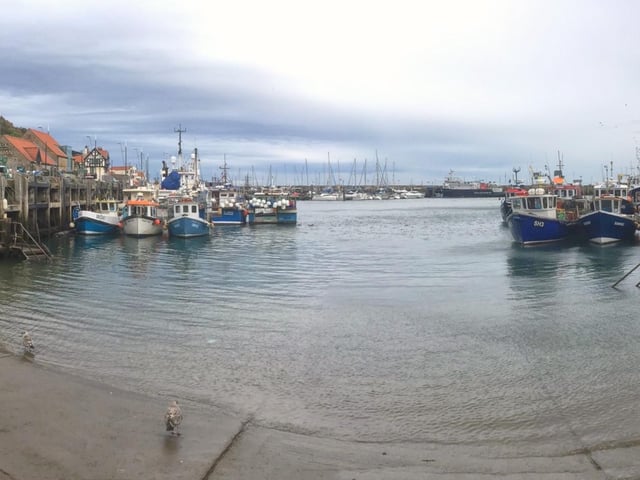 Peaceful inner harbour.