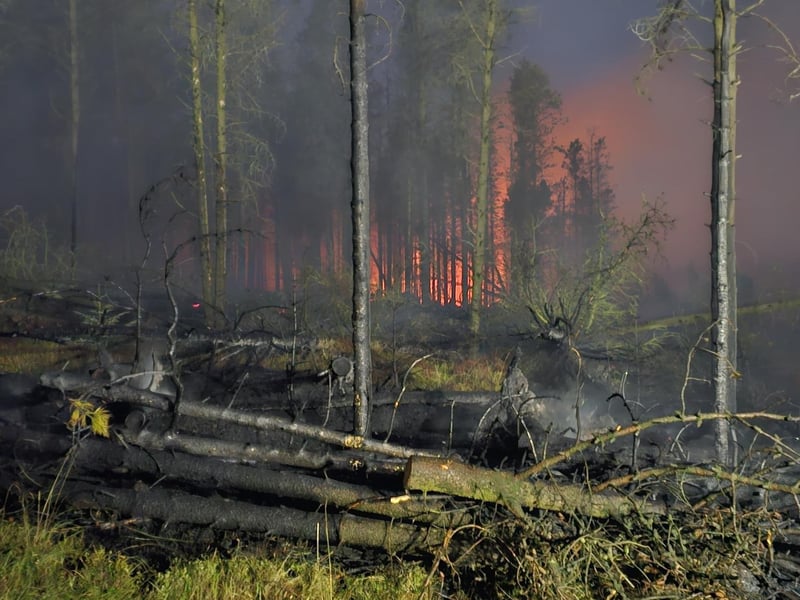 Burnt foliage can be seen as the fire blazes on.