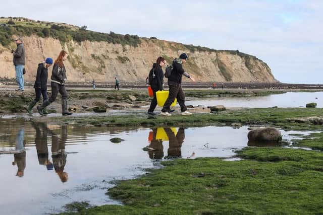 Whitby Lobster Hatchery - juvenile release at Runswick Bay.