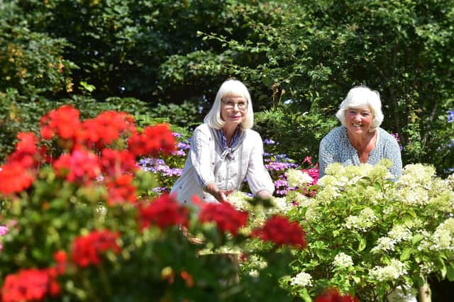 Rosie Orders and Gwen McNally are organising an open garden event to raise money for the Alzheimer's Society
