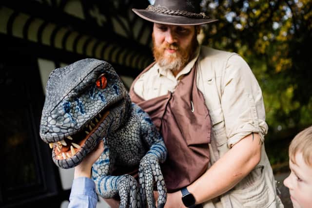 Baby raptor coming to the steam railway.