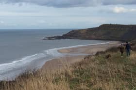 Looking out towards Cayton Bay