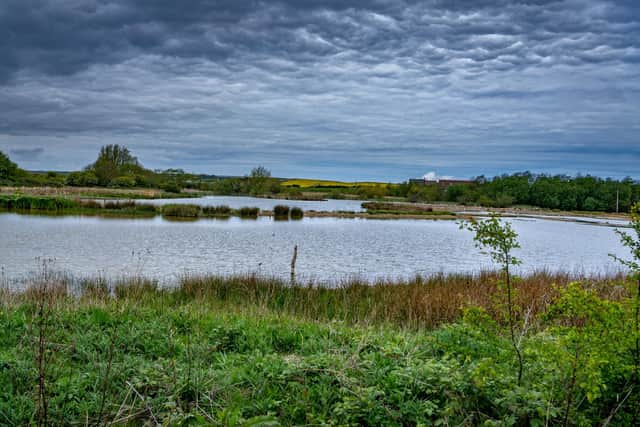 Filey Dams Nature Reserve
