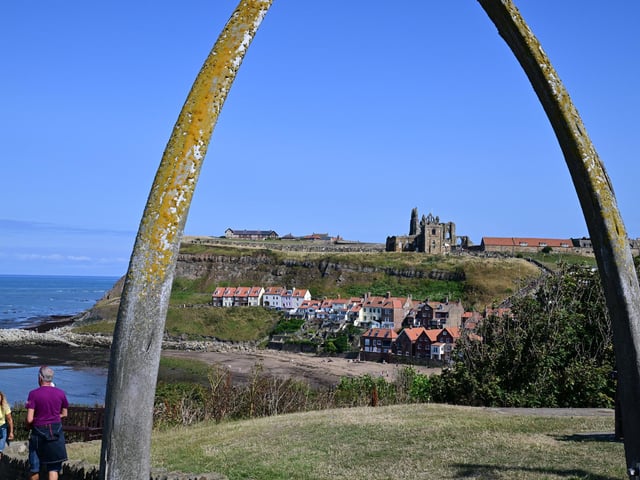 Amazing views framed by the iconic whale bone arch.