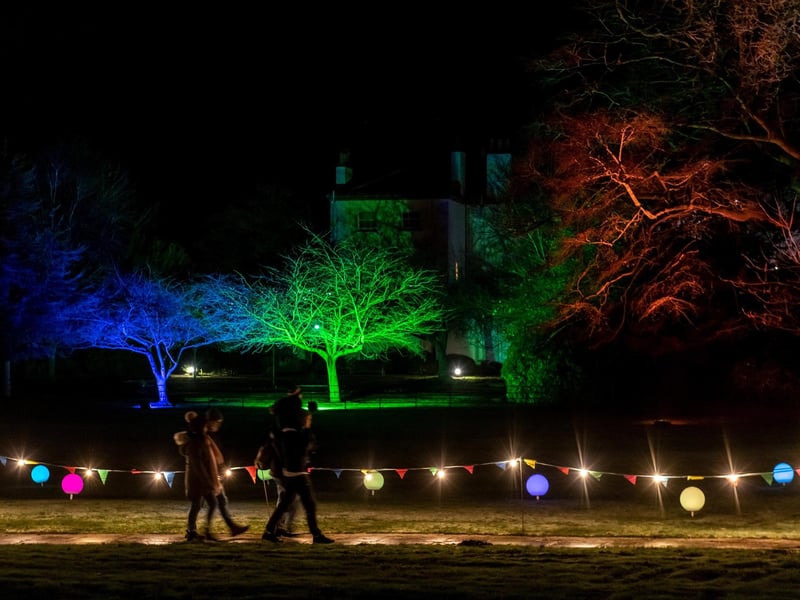 The stunning trees surrounding the historic house were bathed in colourful light.