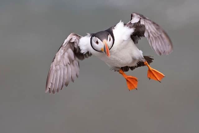 Steve Race will be leading the workshop and who is an award-winning professional wildlife photographer based in Scarborough.