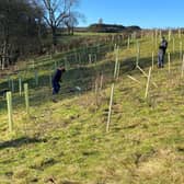 Volunteers are wanted to help plant trees and hedges to protect the River Esk.