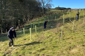Volunteers are wanted to help plant trees and hedges to protect the River Esk.
