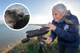 Volunteers like Audrey McGhie, pictured, involved in a wide range of conservation programmes are being heralded as key to ensuring plans to place North Yorkshire at the forefront of the fight against climate change become a reality.