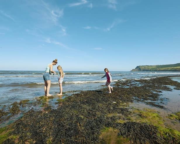 Visitors paddling on the beach at Robin Hood's Bay.picture: Trevor Hart