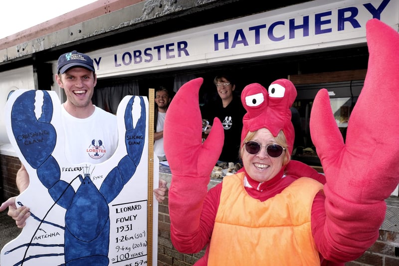 Joe Redfern, Tom Bauling, Helen Taylor and Andrea Russell at the lobster hatchery in Whitby.
picture: Richard Ponter, 224744r