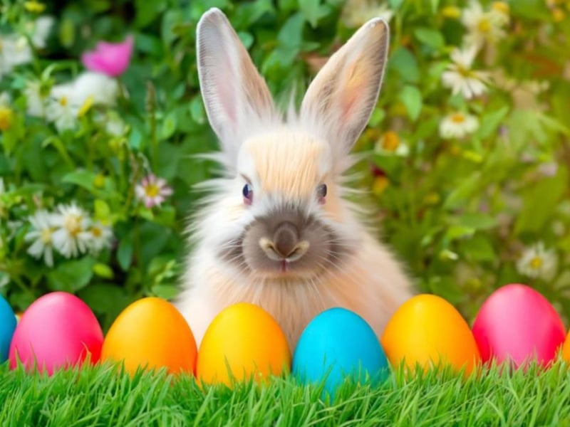 the annual Easter Fayre at Bridlington's Hinge Centre will be on April 10. It is a fun family activity day with raffle, tombola, food and more! The event runs from 11.00am to 2.00pm.