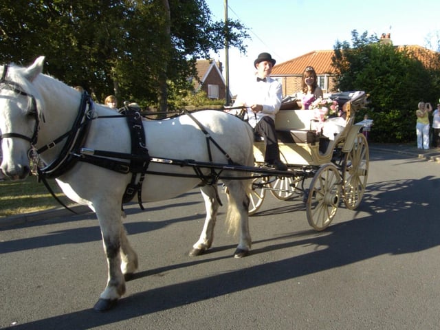 Eskdale School Leavers Ball - Sarah Little arriving by horse drawn carriage.
w092729m