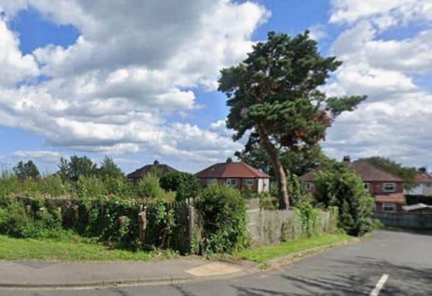 Google Maps In 2023: The Tree At 79 Cross Lane, Newby.