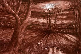 Winter landscape above Sinnington, Ryedale, by Simon Crawford.