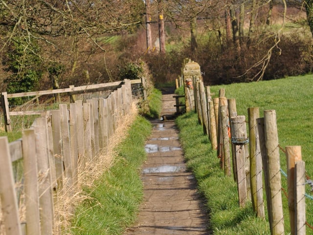 A view of the Cinder Track footpath at Fylingthorpe, by Donella Agar.