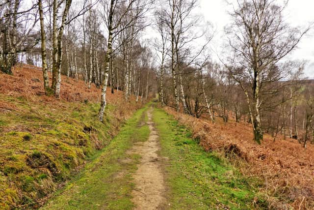 Danby Park Wood.