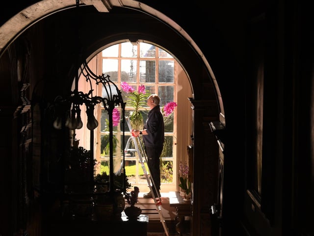 Specialist orchid advice will be available to visitors as they roam around the house, taking in the sights.