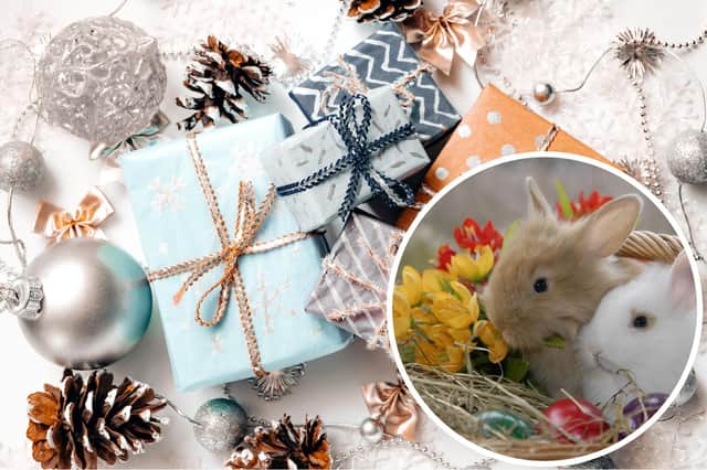 Acorn Rabbit Rescue are holding a Christmas Fair fundraiser on December 2 at Sewerby Methodist Church.