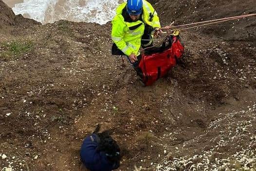 The dog was on a ledge 6ft below the cliff edge