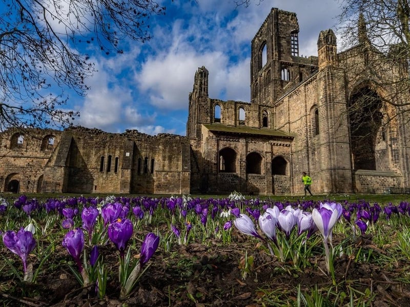 Kirkstall Abbey was founded in 1152 by Henry de Lacy, baron of Pontefract, who was one of the top landowners in the north. It gained its wealth by keeping sheep during the wool trade and the abbey was disestablished 388 years after it was built.