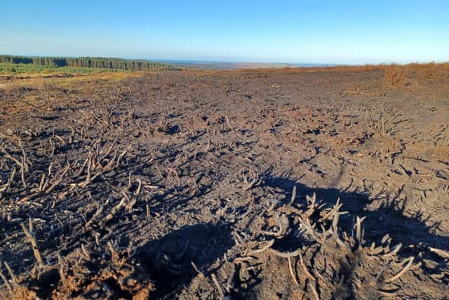 With the blaze now having entered the recovery phase, firefighters and emergency service partners, Local Resilience Forum organisations, council staff, local farmers, gamekeepers, landowners, volunteers and the public have been praised for their role in helping to tackle the fire and manage its impacts.